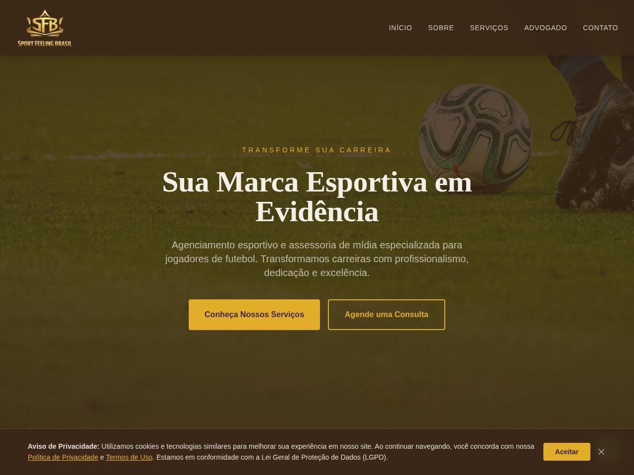 Preview do site Sport Feeling